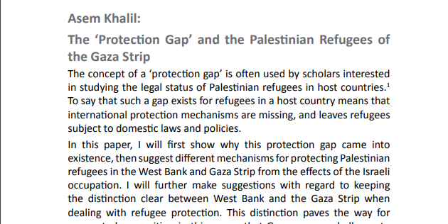 the-‘protection-gap’-and-the-palestinian